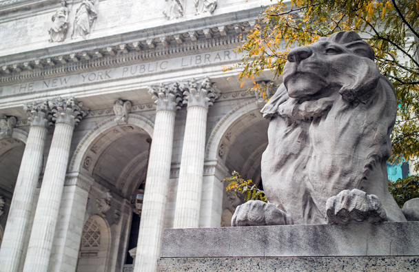 Estátua do Leão Biblioteca Pública de Nova York
 - Foto, Imagem