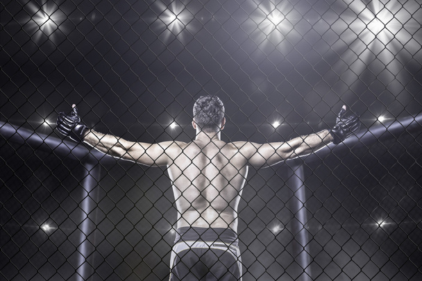 MMA vechter in arena vieren zege, achter weergave - Foto, afbeelding