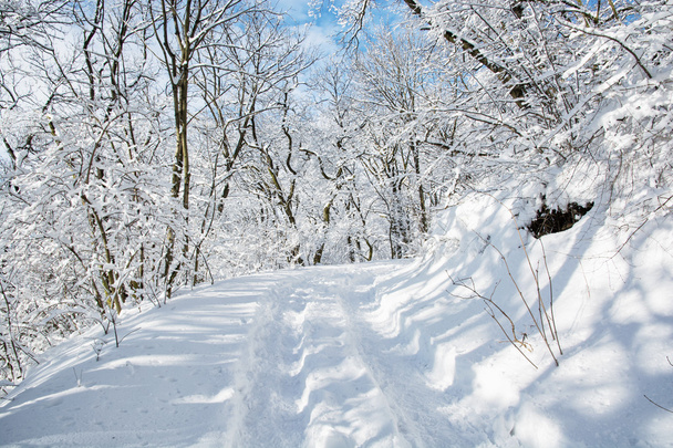 Τουριστικό μονοπάτι στο χειμώνα χιονισμένο τοπίο - Φωτογραφία, εικόνα