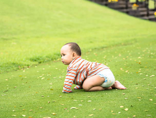 Outdoor portrait of Asian baby boy playing sitting and crawling - Фото, изображение