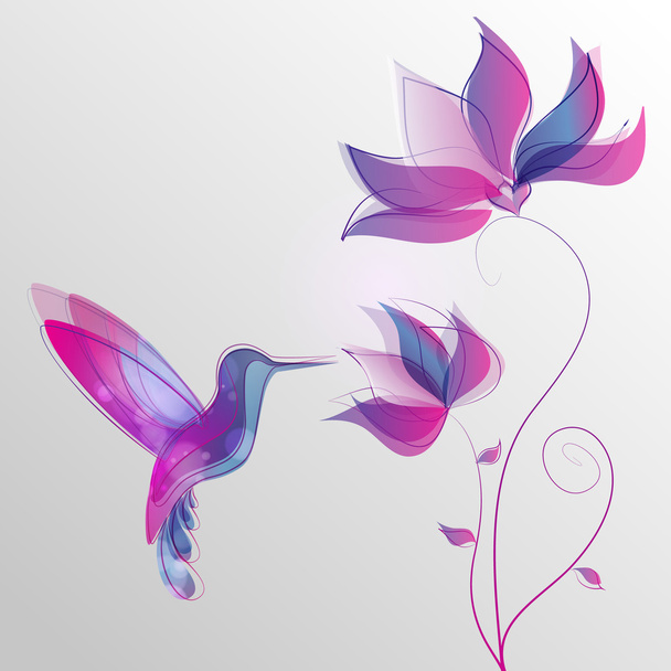 beija-flor voador, colorido
 - Vetor, Imagem