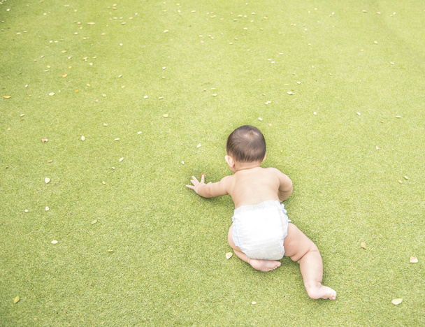 Adorable Asian baby boy crawling on the green grass field when h - Foto, immagini