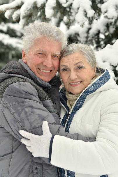 senior couple at winter outdoors - Foto, Imagem