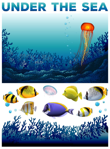scène sous-marine avec des poissons et des algues - Vecteur, image