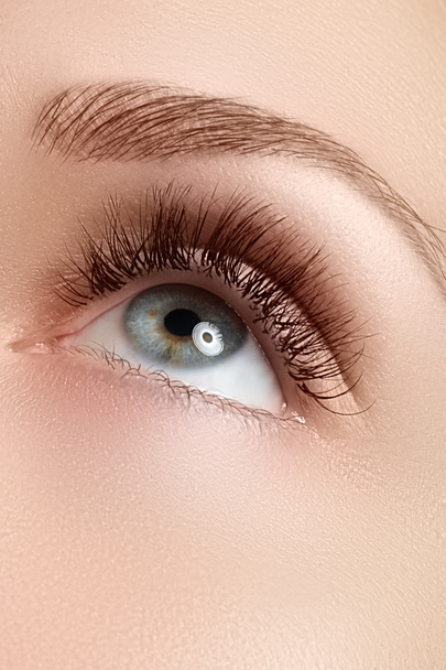 Makroaufnahme des schönen Auges der Frau mit extrem langen Wimpern. Sexy Blick, sinnlicher Blick. Weibliches Auge mit langen Wimpern - Foto, Bild