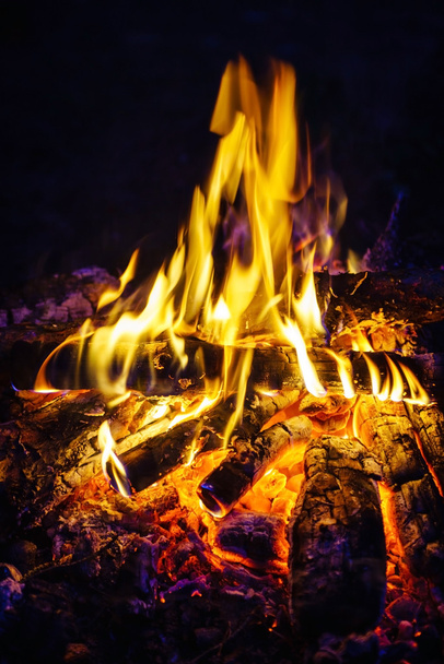 Burning fire in the night - Foto, Bild