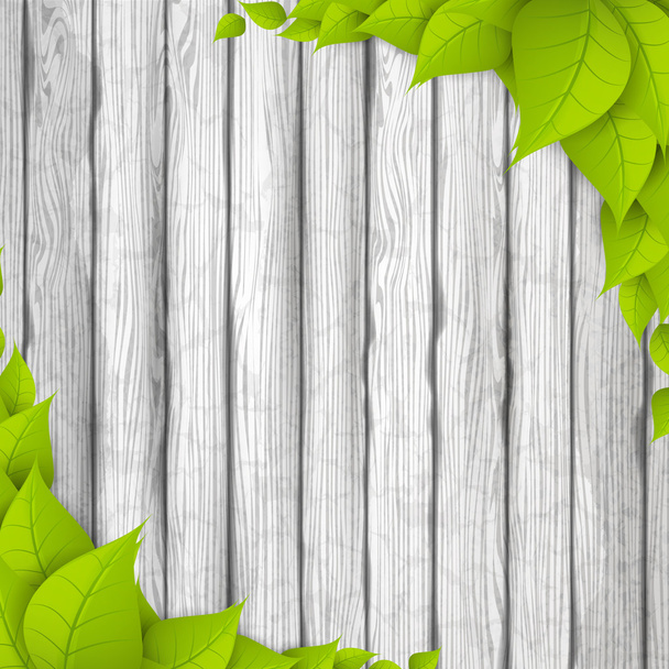 Eco achtergrond. Groene bladeren - Vector, afbeelding