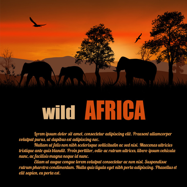 Vahşi Afrika poster - Vektör, Görsel