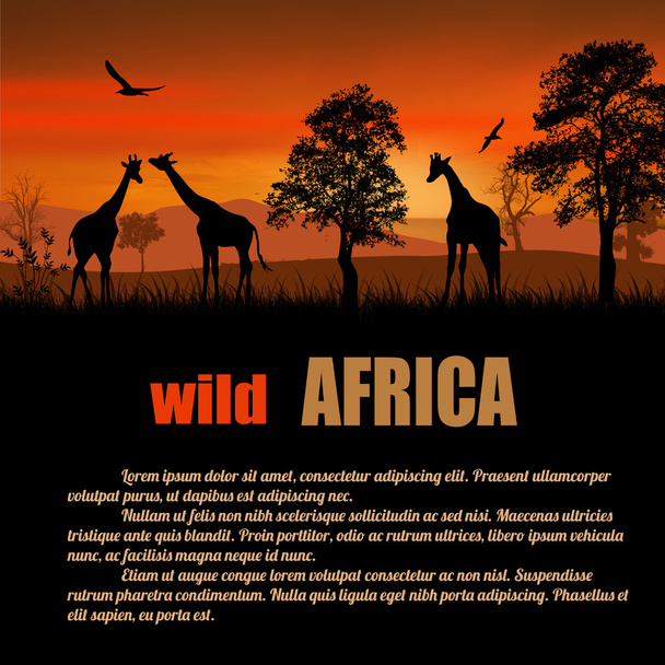 Dzika Afryka plakat - Wektor, obraz