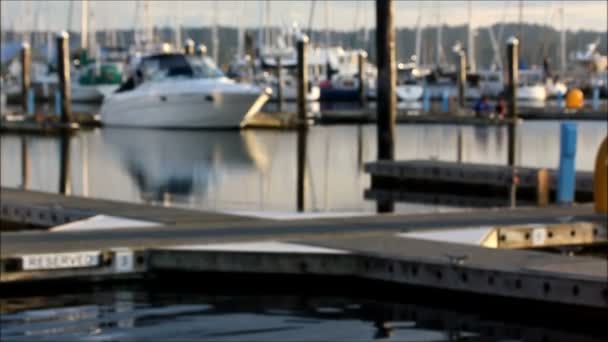 blurred docks and boats in a golden evening light - Footage, Video