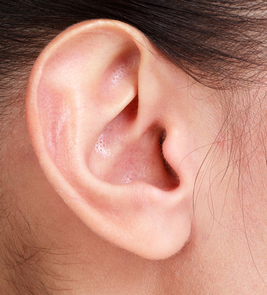 Female ear closeup - Photo, Image