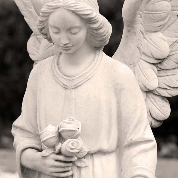 Statue d'ange cimetière
 - Photo, image