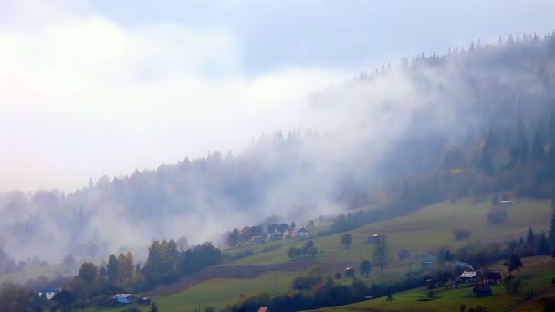 霧の秋の森 - 映像、動画