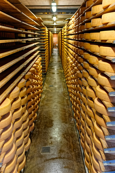 Gruyere cheese maturing in a cellar of Maison du Gruyere dairy - Photo, Image