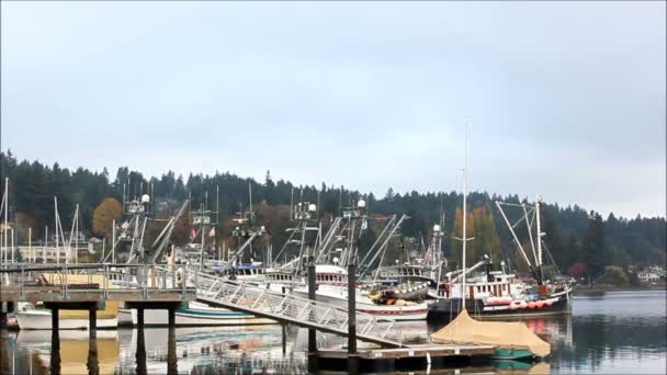 am frühen Morgen Dock voller Boote - Filmmaterial, Video