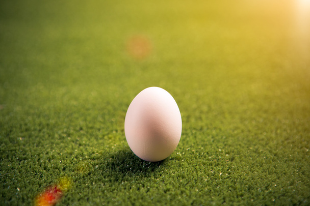 Easter egg on the lawn with sunny glare - Φωτογραφία, εικόνα