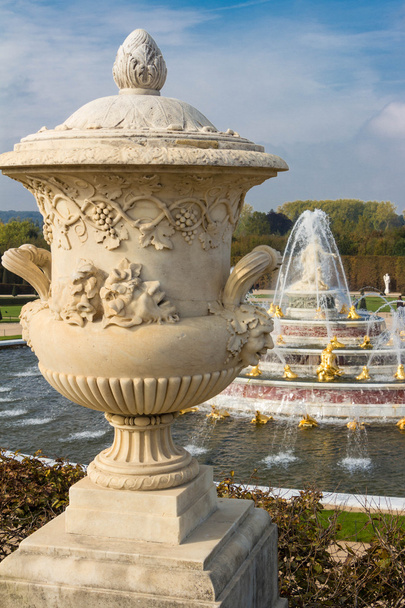 die Vase des Schlosses von Versailles. - Foto, Bild
