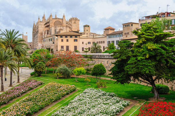 Katedra w Palma de Mallorca, Hiszpania - Zdjęcie, obraz