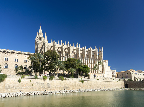 Mallorca katedrála ve městě palma - Fotografie, Obrázek
