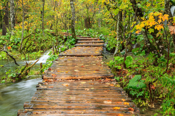 Sentiero del legno nel parco nazionale di Plitvice in autunno
 - Foto, immagini