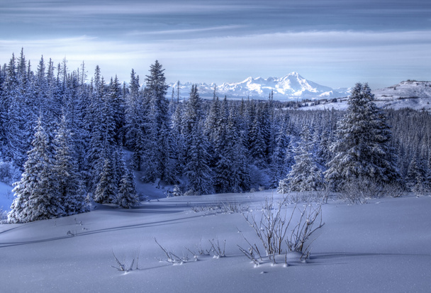 Αλάσκα τοπίο το χειμώνα - Φωτογραφία, εικόνα