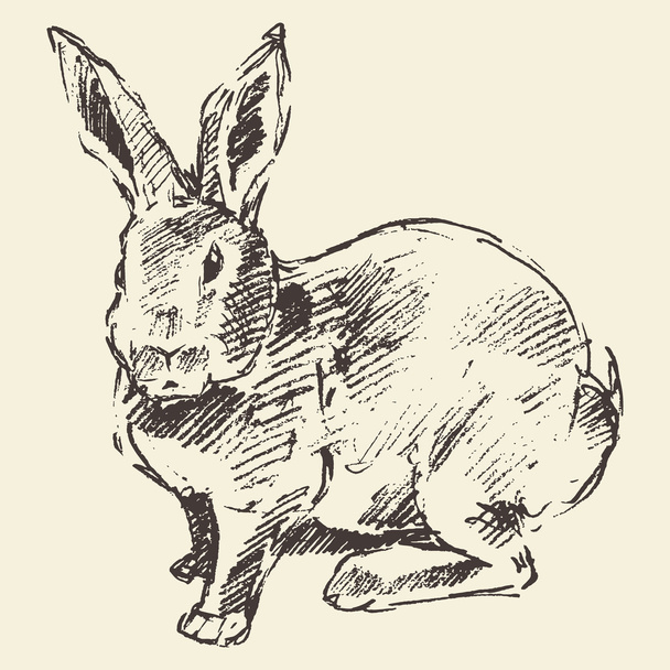 Kaninchen, Gravurstil, handgezeichnete Skizze - Vektor, Bild