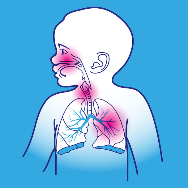 Régime respiratoire de l'enfant
 - Vecteur, image
