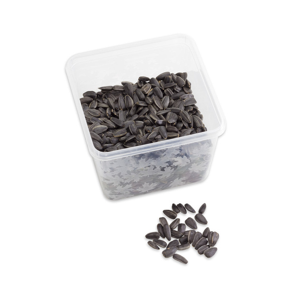 Sunflower seeds in plastic tray and a few seeds separately - Photo, Image