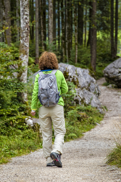 A hiker in Bavaria - Valokuva, kuva