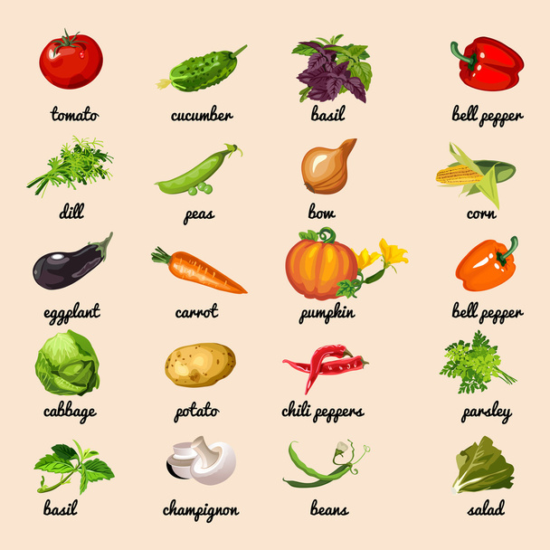 Vegetables from garden, vector set - Vecteur, image