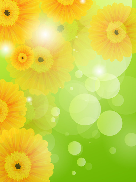 Spring flowers - Vector, Image
