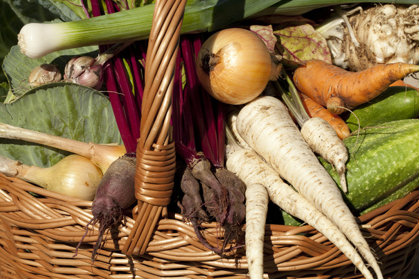 fresh vegetables in basket - Foto, Imagem