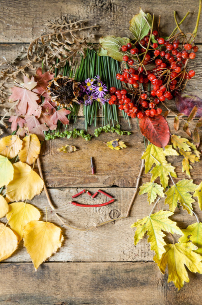 Κυρία φθινόπωρο από πέσει φθινόπωρο αφήνει, μούρα και λουλούδια - Φωτογραφία, εικόνα