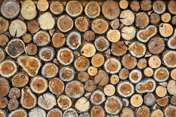 Kesilmiş ağaç gövdesi sorunsuz ahşap doku - Fotoğraf, Görsel