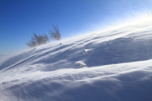 Snowstorm - Фото, зображення