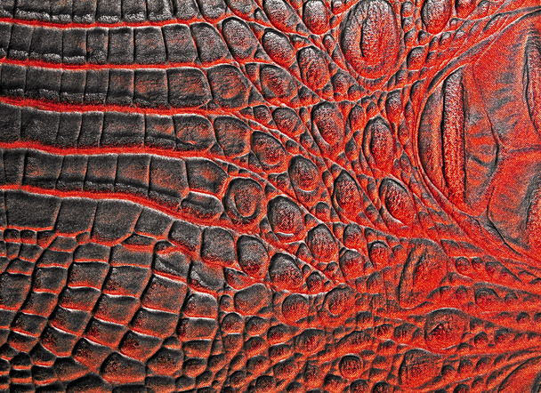 Red alligator patterned background - Φωτογραφία, εικόνα