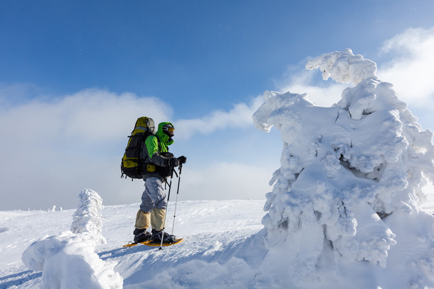 Hiker walking in winter Carpathian mountains - Fotó, kép