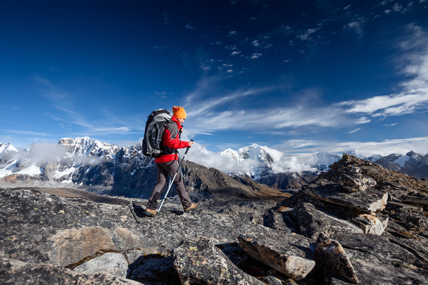 Hiker on the trek in Himalayas, Khumbu valley, Nepal - Фото, зображення