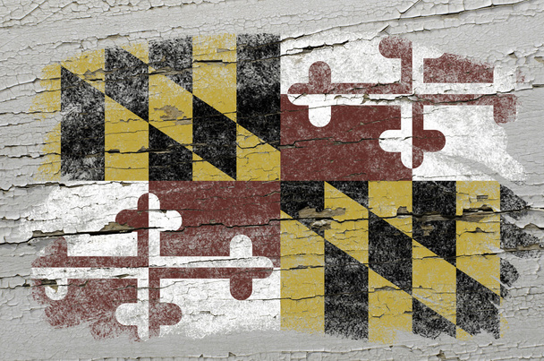 Bandera de Estados Unidos estado de Maryland en grunge textura de madera precisa pa
 - Foto, Imagen
