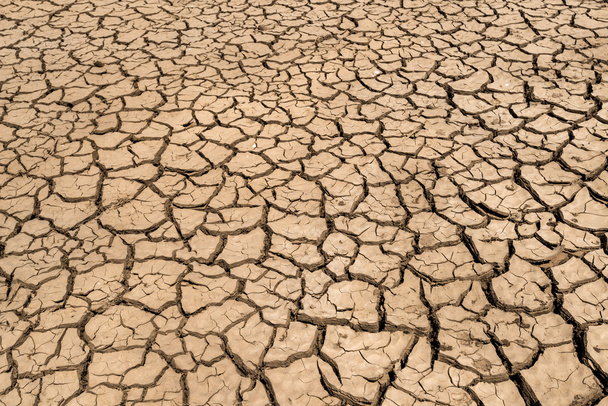 Terres fissurées par la sécheresse
 - Photo, image