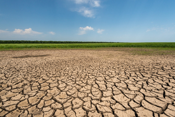 Drought cracked land - Photo, Image
