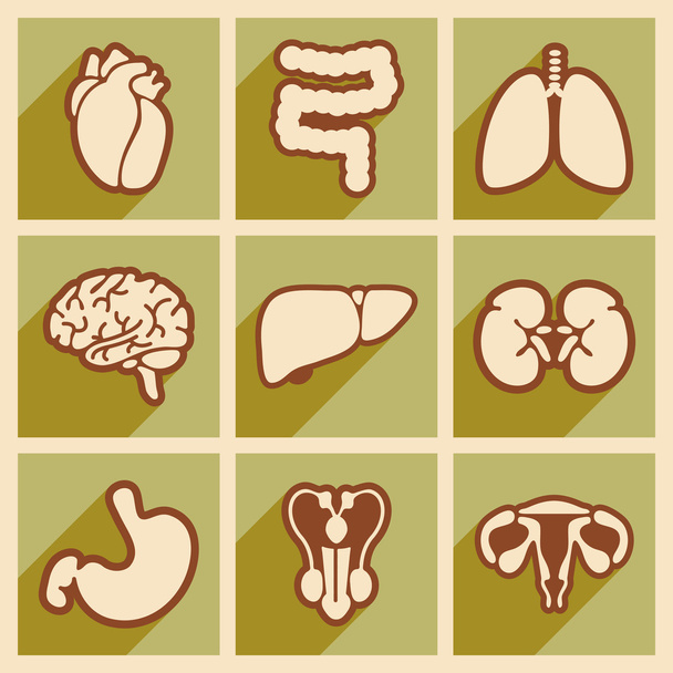 Ikony narządów wewnętrznych wirtualny plik dziennika w stylu płaski - Wektor, obraz