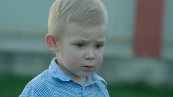 Nice Little Boy Outdoor - Footage, Video
