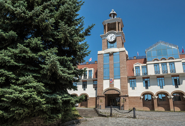 シグナギの市庁舎 - 写真・画像