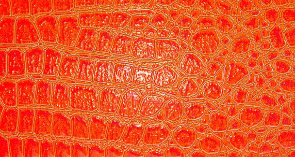 Red alligator patterned background  - Foto, Bild