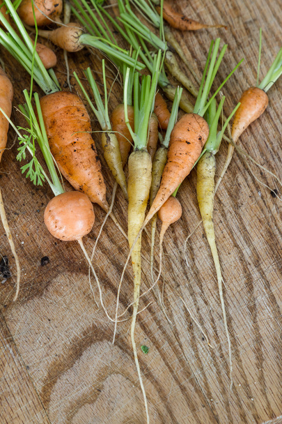 fresh baby carrots - Photo, Image