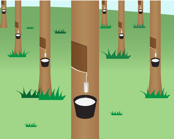 rubber tree jungle in flat style - Vector, Image