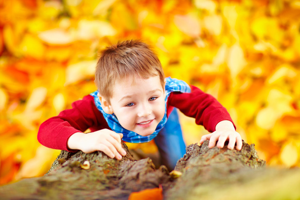 smiling kid, boy climbing a tree in autumn park - Photo, image