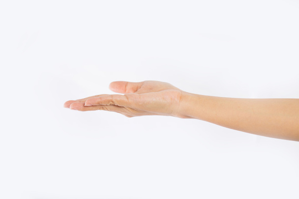 Руки женщины на белом фоне
 - Фото, изображение