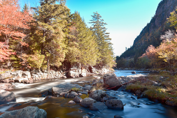 Adirondacks осені листя, Нью-Йорк - Фото, зображення